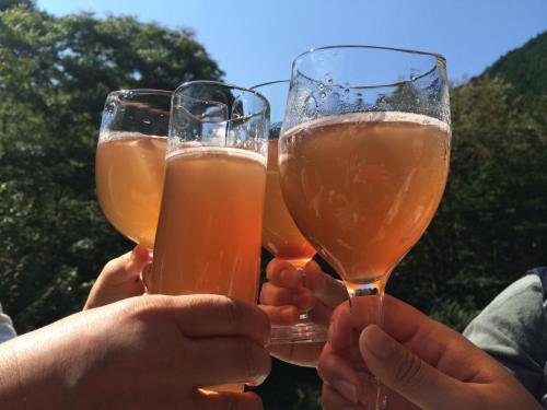 51786723_2508414129231571_8221891998227890176_n